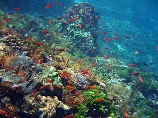 Bupati Teken MoU Dengan Investor Yunani